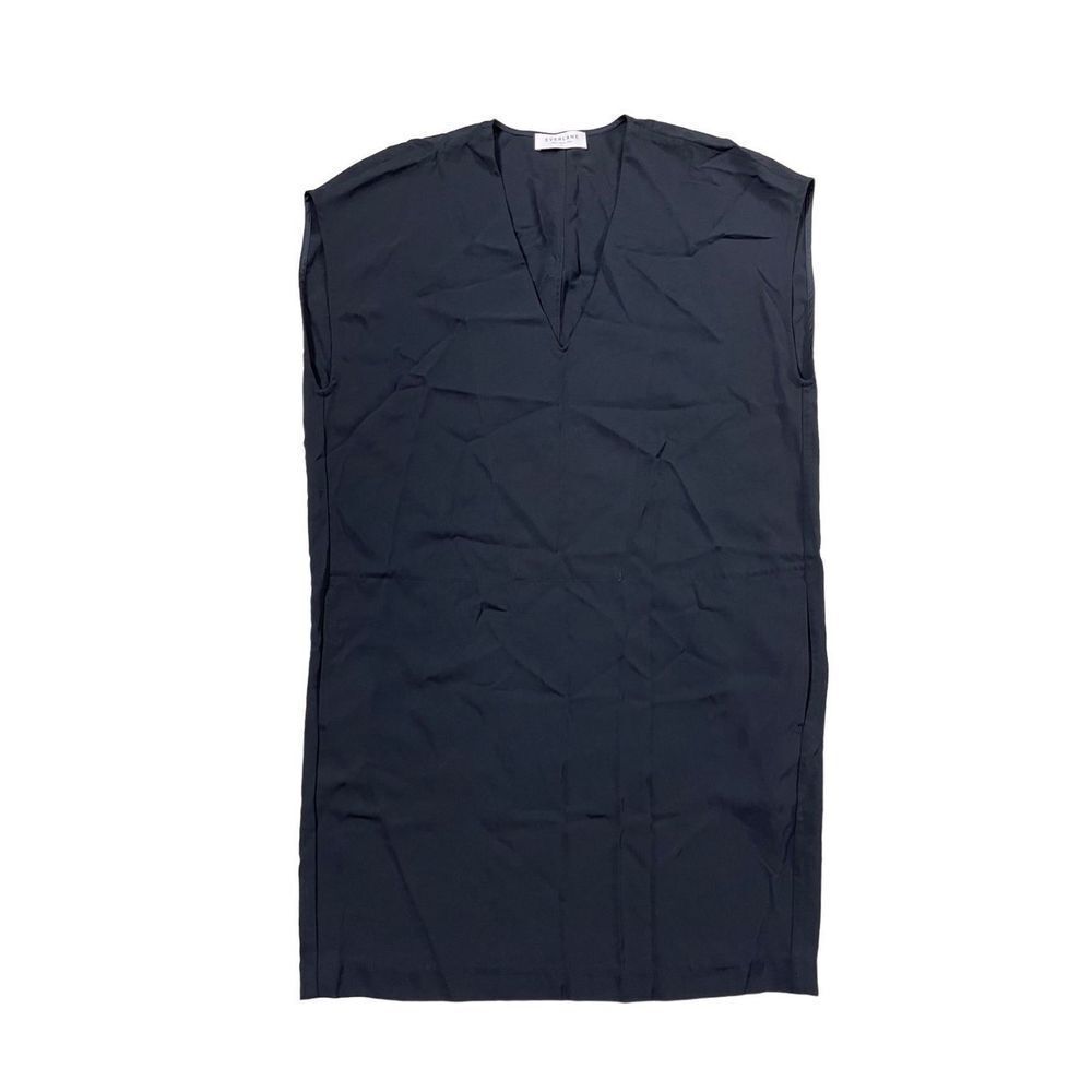 Everlane Black Sleeveless V-Neck Shift Dress